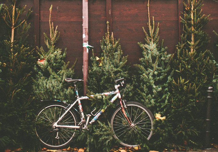 Cum să alegi cadoul potrivit pentru un ciclist