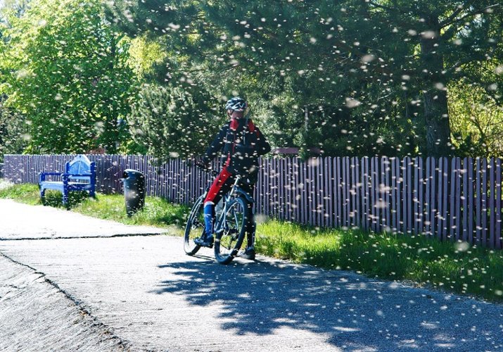 5 moduri de a vă proteja pe bicicletă împotriva insectelor