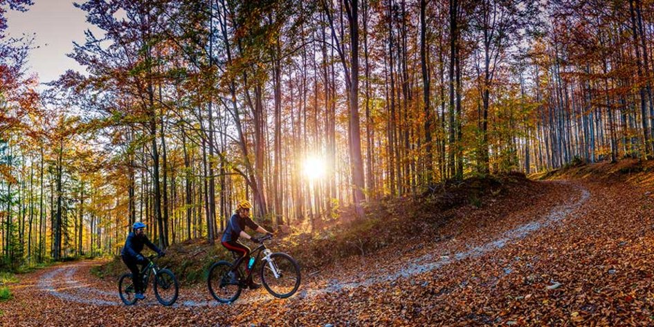 Cum să te bucuri de a suta tură de 100 km>