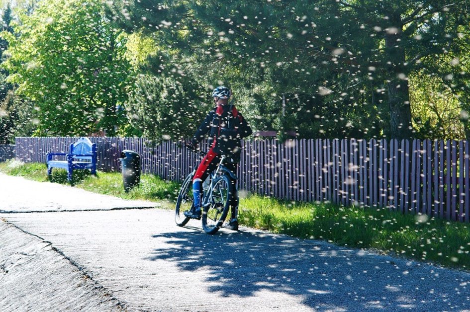 5 moduri de a vă proteja pe bicicletă împotriva insectelor>