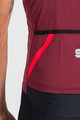 SPORTFUL Vestă de ciclism - FIANDRE LIGHT NORAIN - bordo