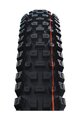 SCHWALBE anvelopă - ALBERT GRAVITY PRO 29x2.50 EVOLUTION 67EPI - negru