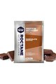 GU Nutriție pentru ciclism - ROCTANE RECOVERY DRINK MIX 62 G CHOCOLATE SMOOTHIE