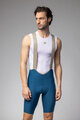 ALÉ Pantaloni scurți de ciclism cu bretele - MASTER 2.0 PR-E - albastru