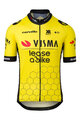 RAPIDGEAR Tricou de ciclism cu mânecă scurtă - REPLICA VISMA 2025 - galben