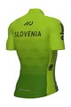 ALÉ Tricoul și pantaloni scurți de ciclism - SLOVENIA NATIONAL 22 - verde/albastru