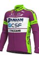 ALÉ Tricou de cilism pentru iarnă cu mânecă lungă - BARDIANI CSF 20 WNT - verde/mov