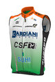 ALÉ Vestă de ciclism - BARDIANI CSF 2019 - multicolor