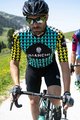 BIANCHI MILANO Tricou de ciclism cu mânecă scurtă - MASSARI - galben/albastru deschis