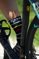 BIANCHI MILANO Șosete clasice de ciclism - MAIORI - negru/multicolor