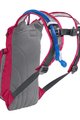 CAMELBAK rucsac - MINI M.U.L.E.® 3L - roz/mov