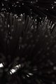 MUC-OFF perie de curățare - TWO PRONG BRUSH