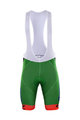 BONAVELO Pantaloni scurți de ciclism cu bretele - BARDIANI 2017 - verde