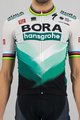 SPORTFUL Tricou de ciclism cu mânecă scurtă - BORA HANSGROHE 2021 - gri/verde