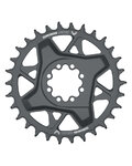 SRAM foaie - T-TYPE 30T 3mm - negru