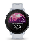GARMIN merilnik moči - FORERUNNER 955 SOLAR - gri