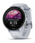 GARMIN merilnik moči - FORERUNNER 955 - gri