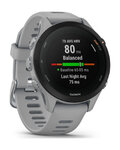 GARMIN merilnik moči - FORERUNNER 255S - gri