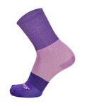 SANTINI Șosete clasice de ciclism - BIG BENGAL - roz/mov