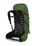 OSPREY rucsac - TALON 33 L/XL - verde