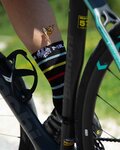 BIANCHI MILANO Șosete clasice de ciclism - MAIORI - negru/multicolor