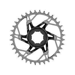 SRAM foaie - XX T-TYPE 36T - argintiu/negru
