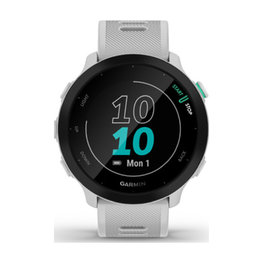 GARMIN FORERUNNER 55 - gri