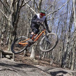 LIMAR Cască de ciclism - DELTA MTB - verde