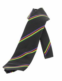 SANTINI altele - UCI - albastru