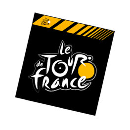 altele - - yellow/black